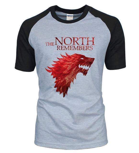 VIKING LAIR T-Shirt black gray / S The North Remembers Raglan Shirt