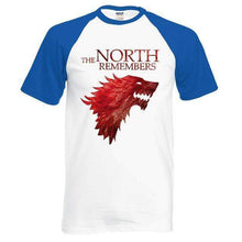 Load image into Gallery viewer, VIKING LAIR T-Shirt blue white / S The North Remembers Raglan Shirt