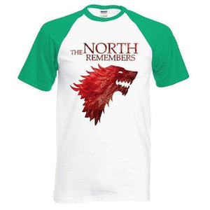 VIKING LAIR T-Shirt green white / S The North Remembers Raglan Shirt
